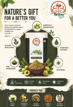 Amla POWDER - Image 4
